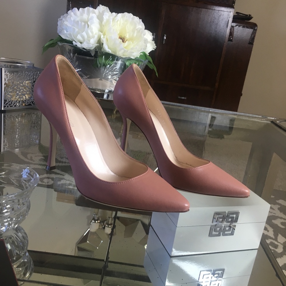 Sergio Rossi Dusty Rose Point Toe Pumps